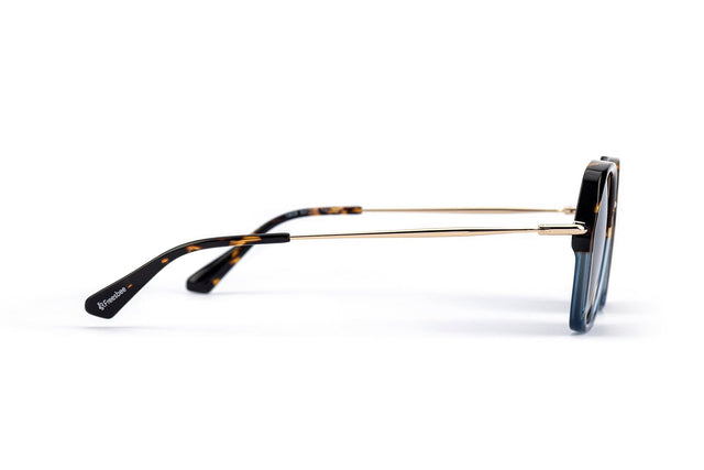 FRSB Freesbee Ferndale Asetat Unisex Güneş Gözlüğü - Freesbee Turkey